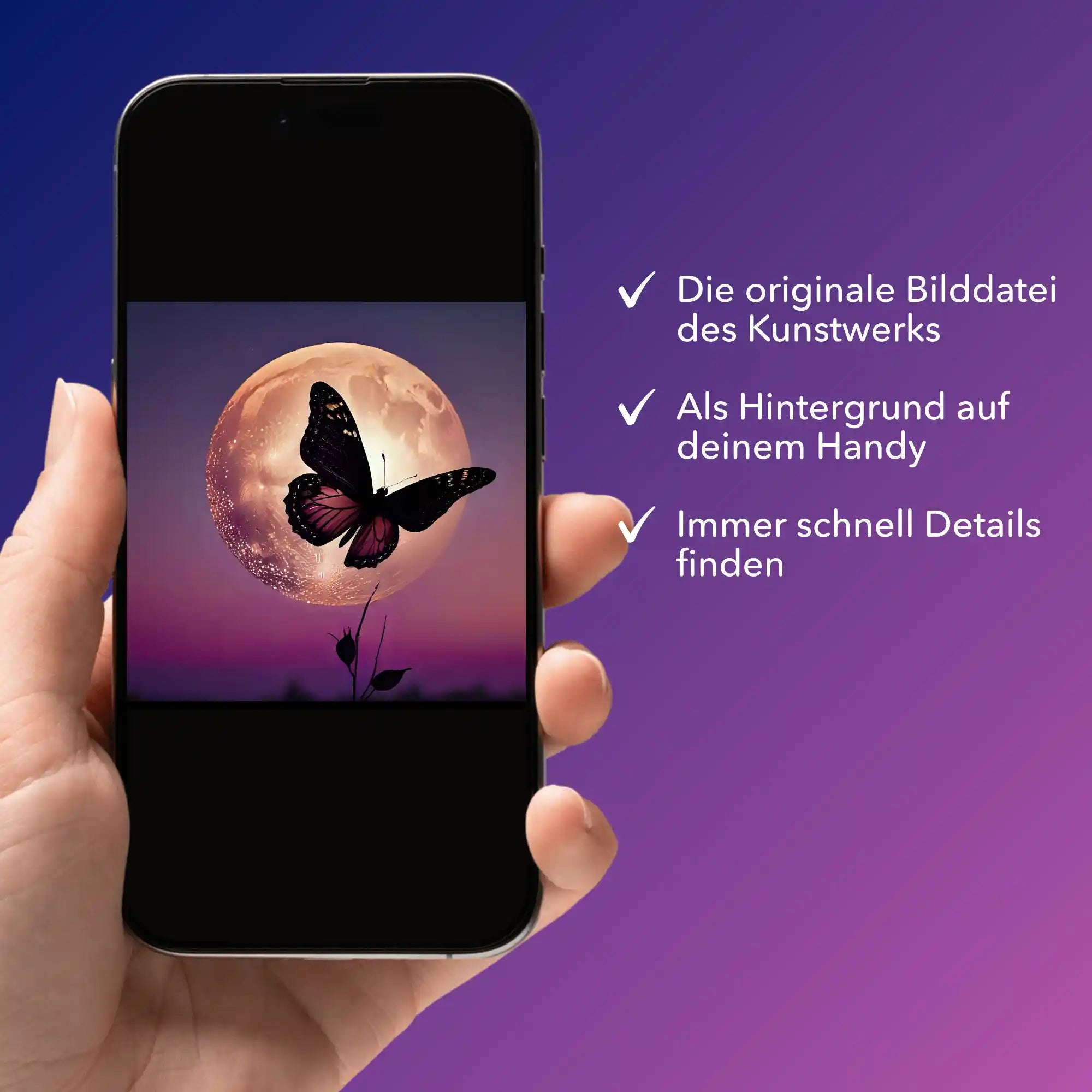 Digitale Bildmappe - Nightfly