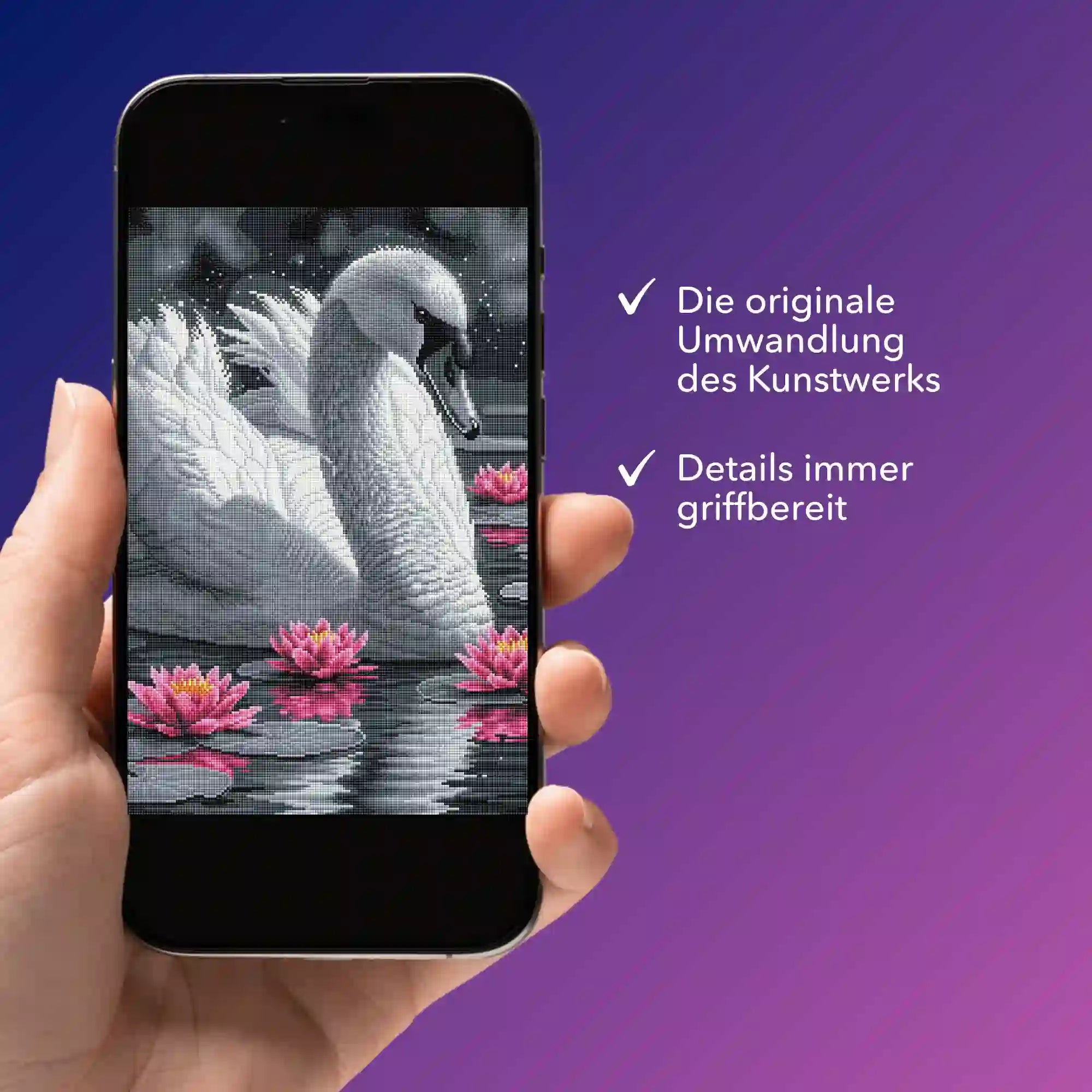 Digitale Bildmappe - Schwan im Seerosensee