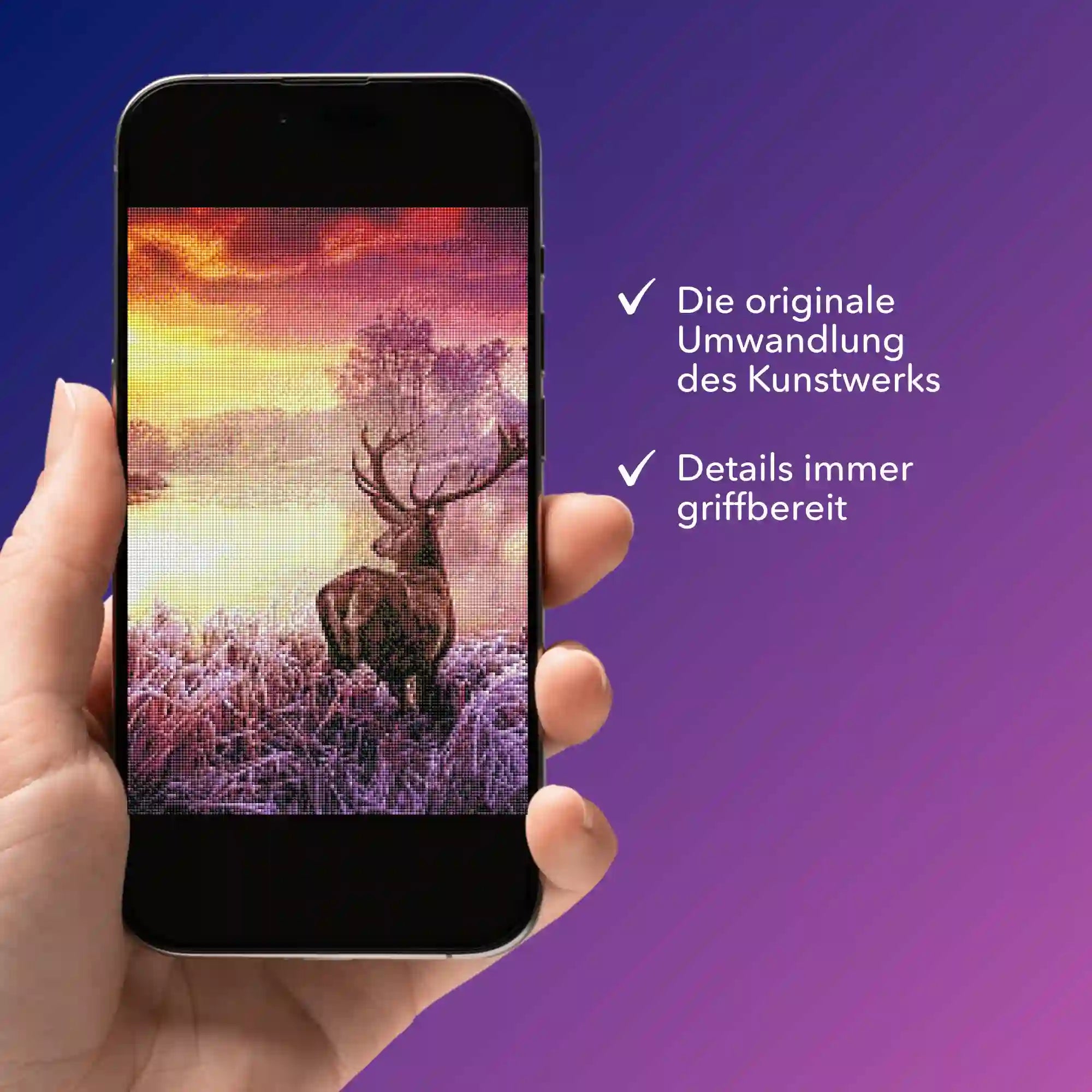 Digitale Bildmappe - Hirsch im Sonnenaufgang