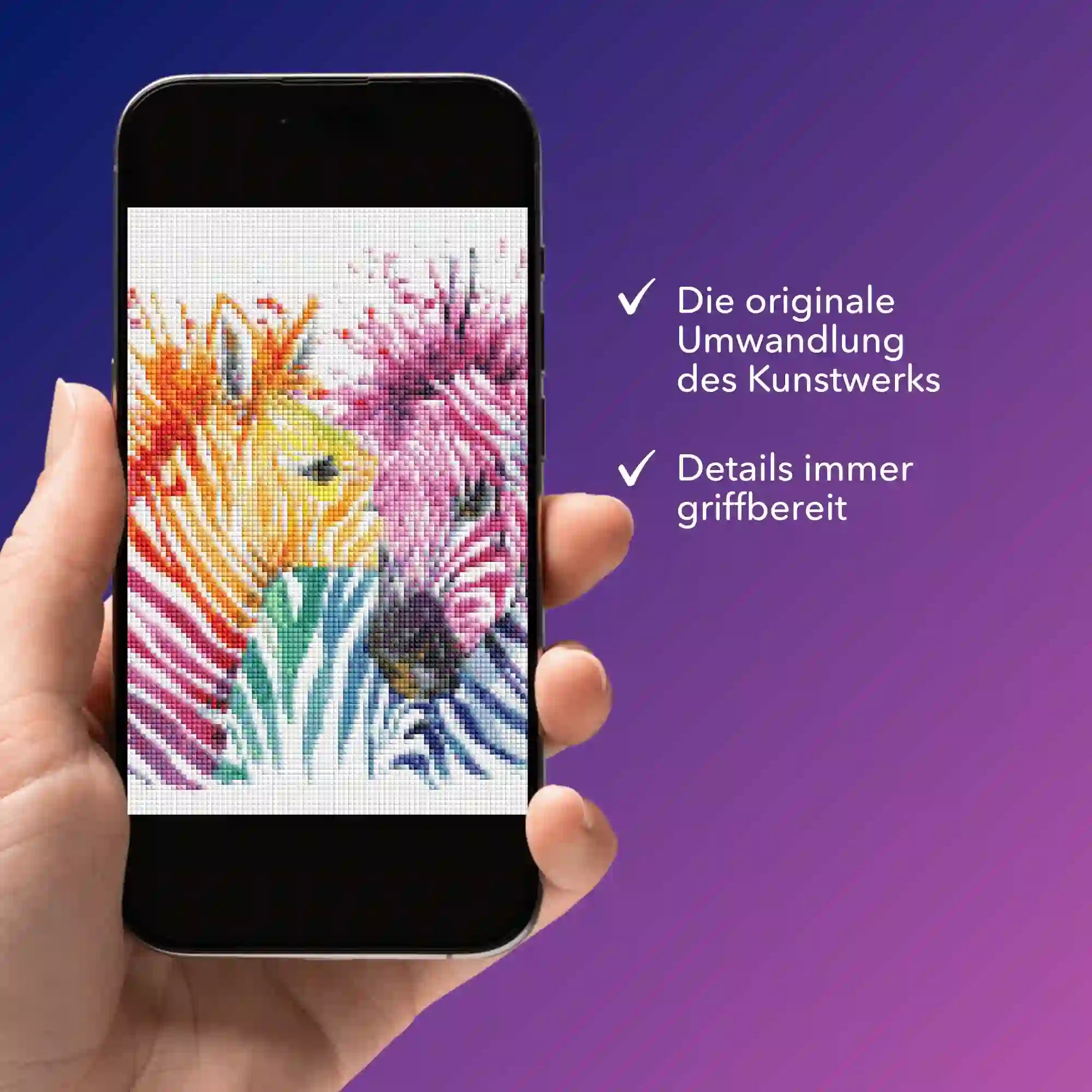 Digitale Bildmappe - Bunte Zebras