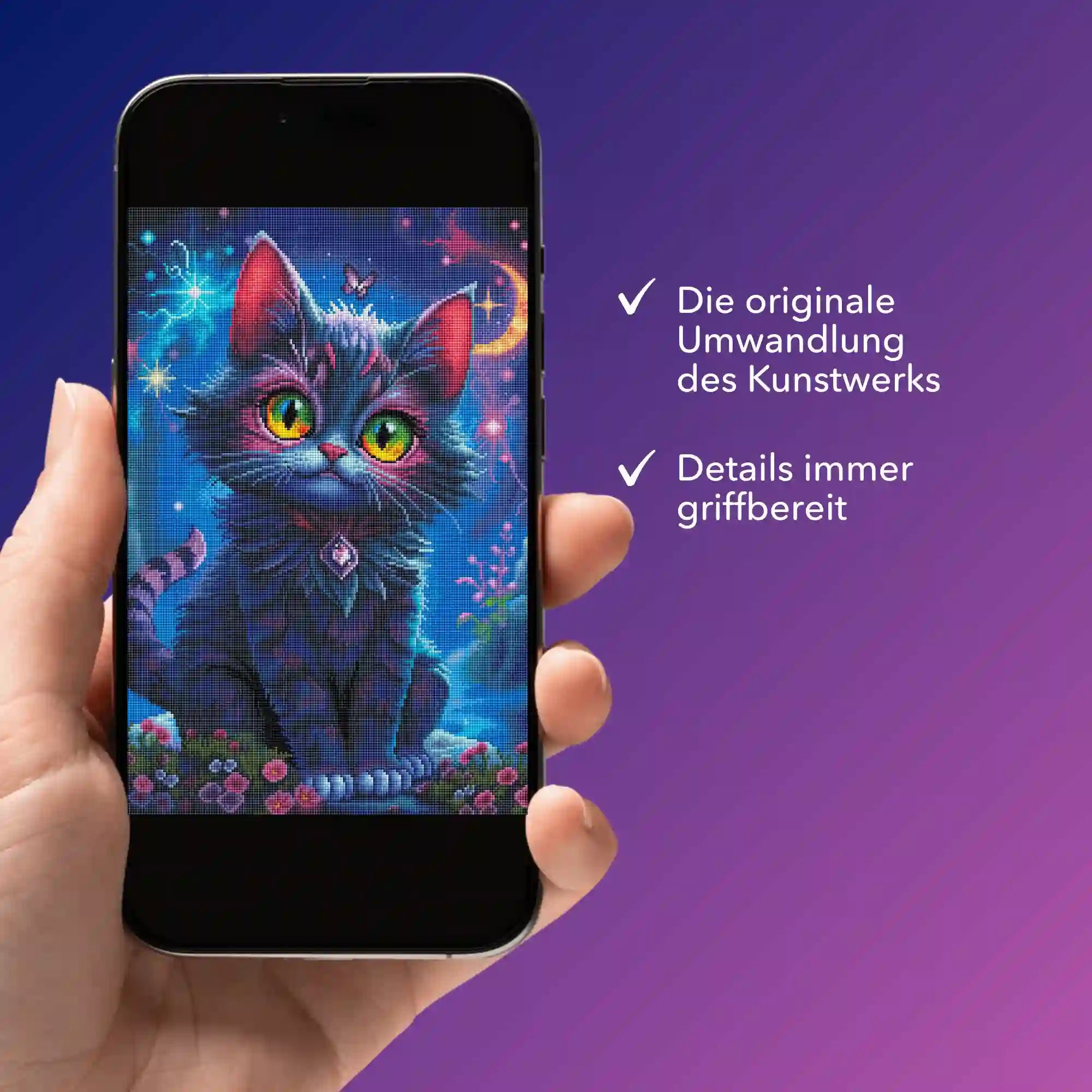 Digitale Bildmappe - Night Cat