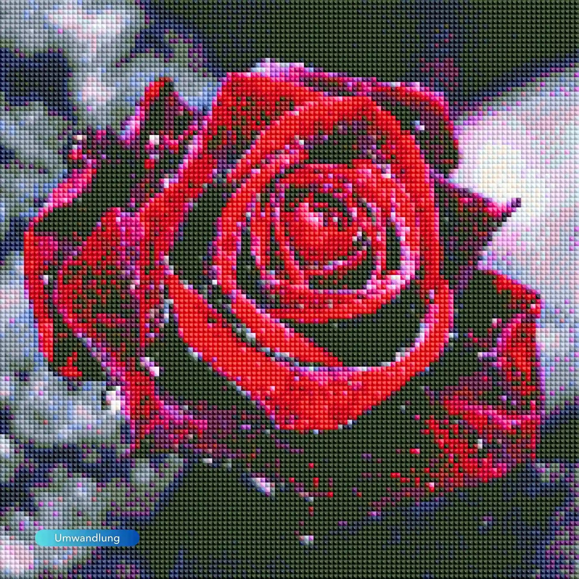 Diamond Painting - Rote Rose im Morgentau