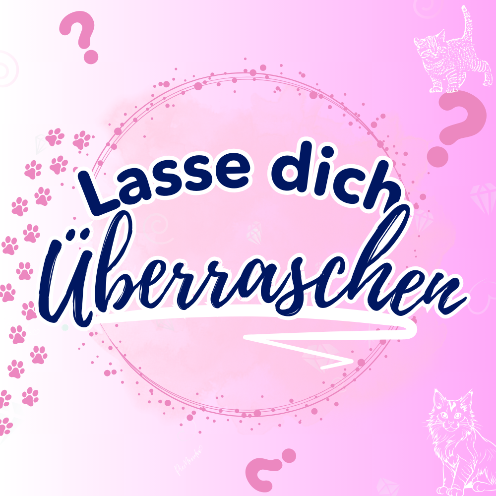 Diamond Painting Mystery-Box "Katzen" (#1)