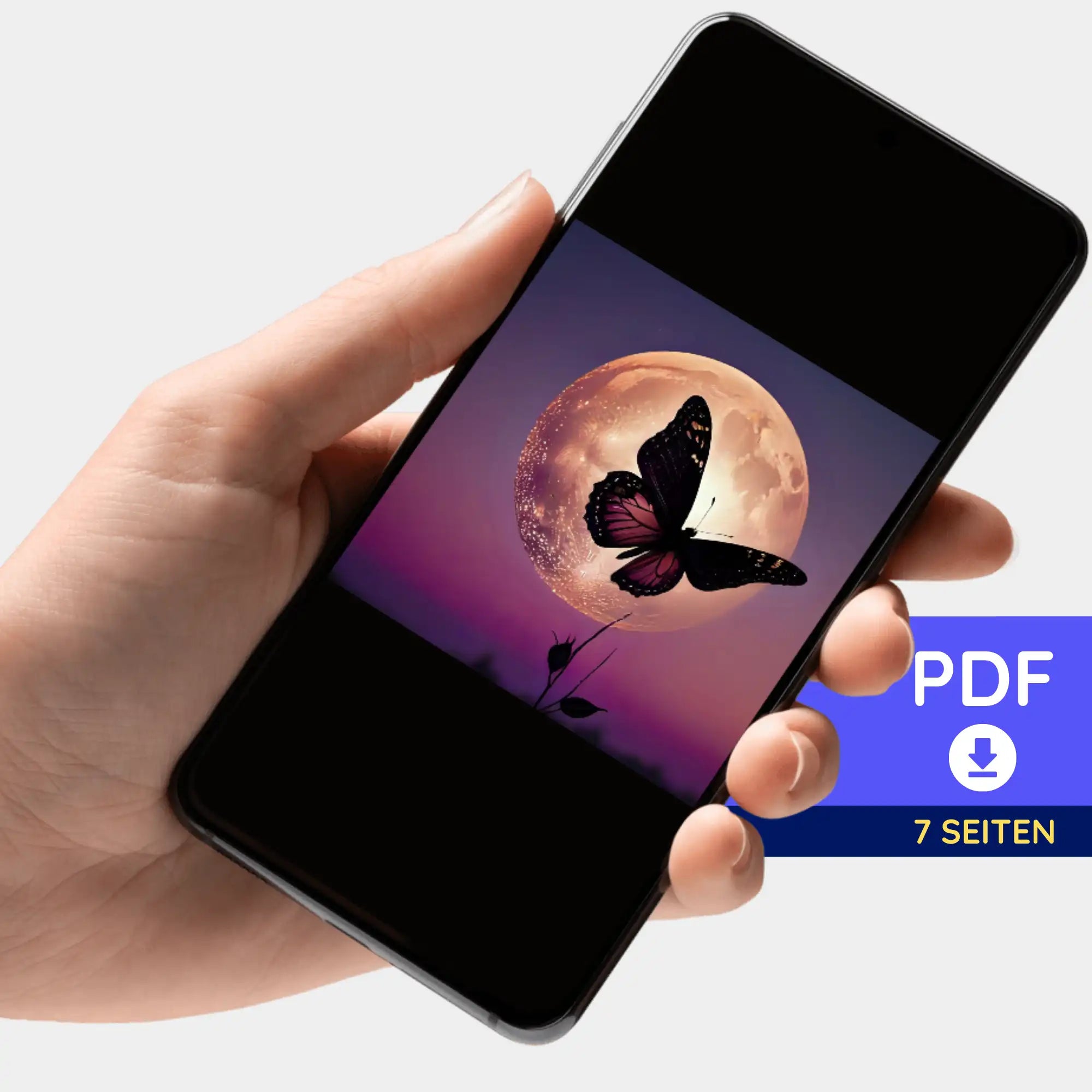 Digitale Bildmappe - Nightfly