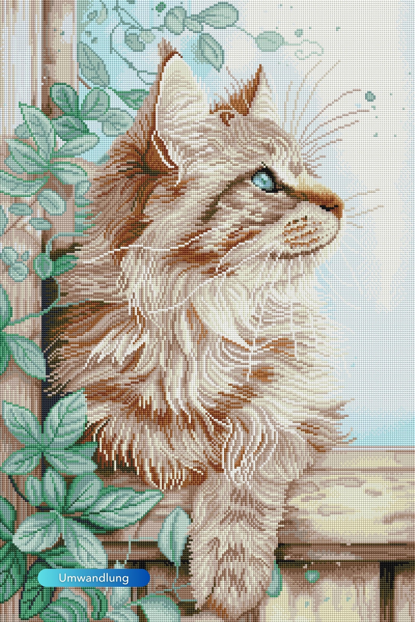 Diamond Painting Susen Pfifferling Special - Kater Cosimo