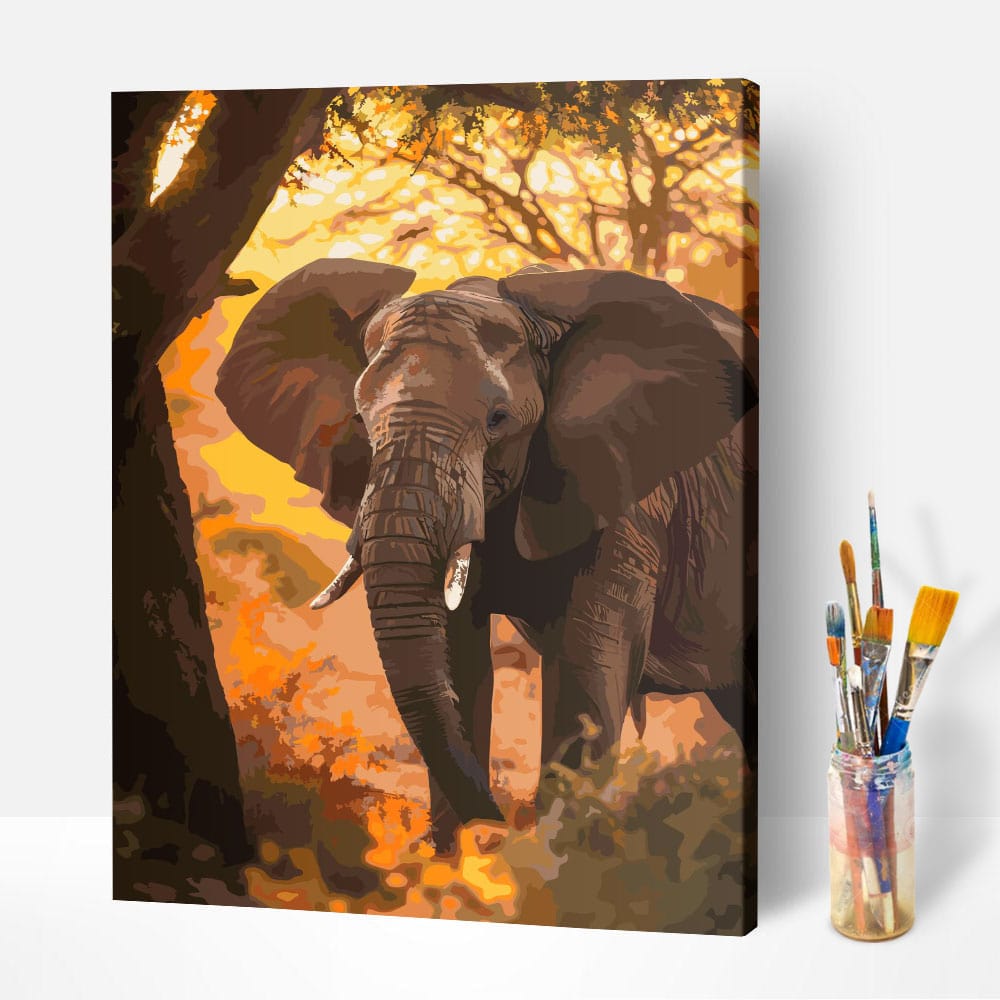 Malen nach Zahlen Set Leinwand Elefant im Sonnenuntergang