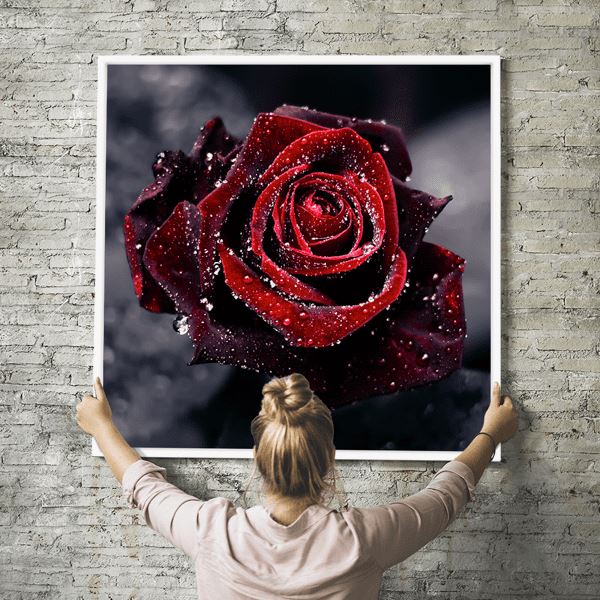 Diamond Painting Wandbild Rote Rose im Morgentau