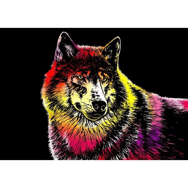 Scratch Painting - XL 4er Set Raubkatzen
