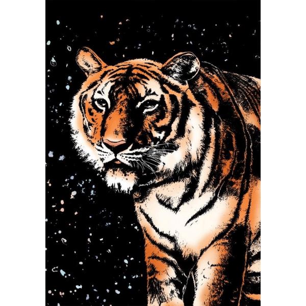 Scratch Painting - XL 4er Set Raubkatzen