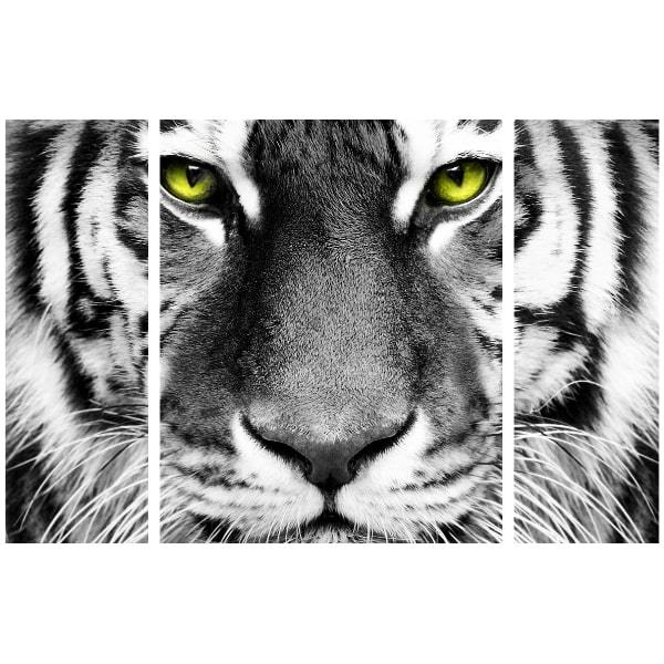 Tiger mit grünen Augen Diamond Painting