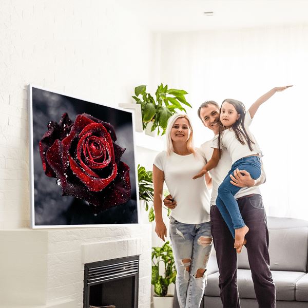 Diamond Painting Bild Rote Rose im Morgentau