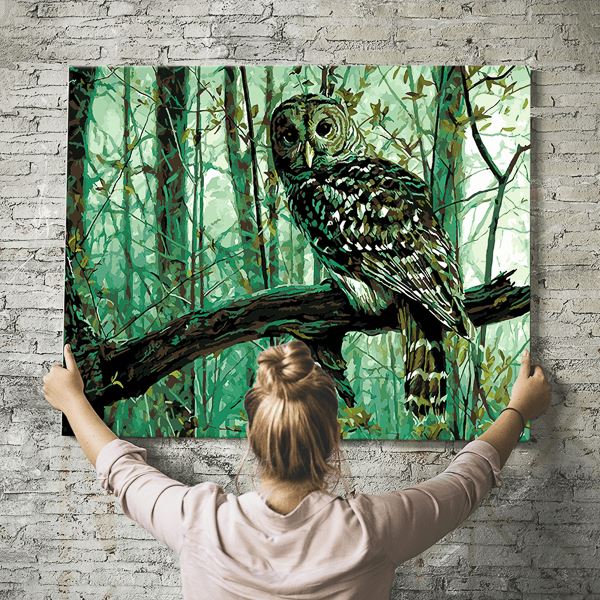 Malen nach Zahlen Wandbild Die Eule im Wald