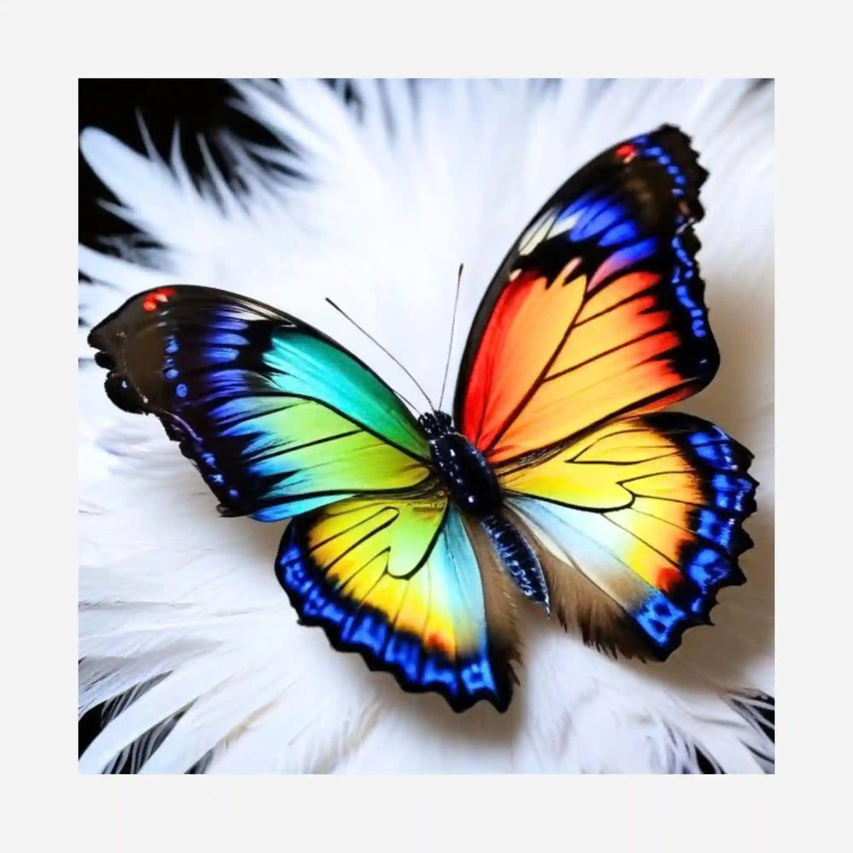 Diamond Painting Silikonpapier mit buntem Schmetterling auf weißer Feder – Federleicht Motiv