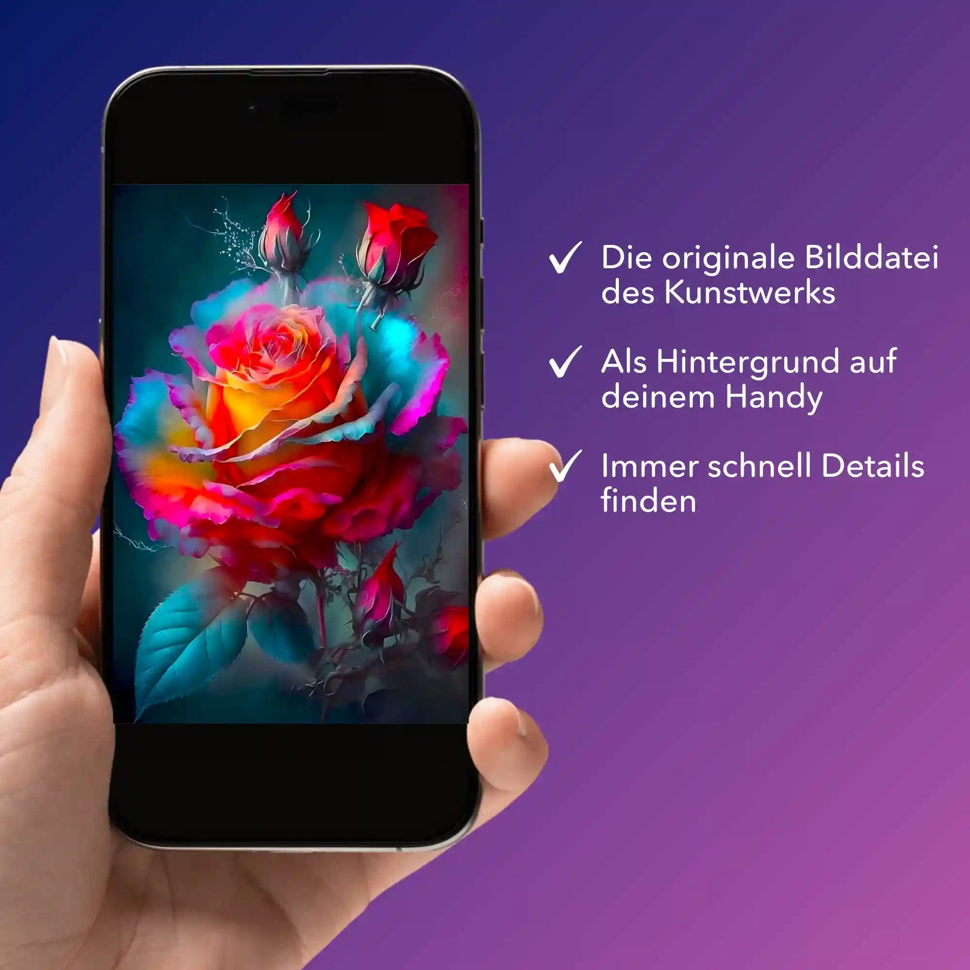 Digitale Bildmappe - Zarte Rosenblüte