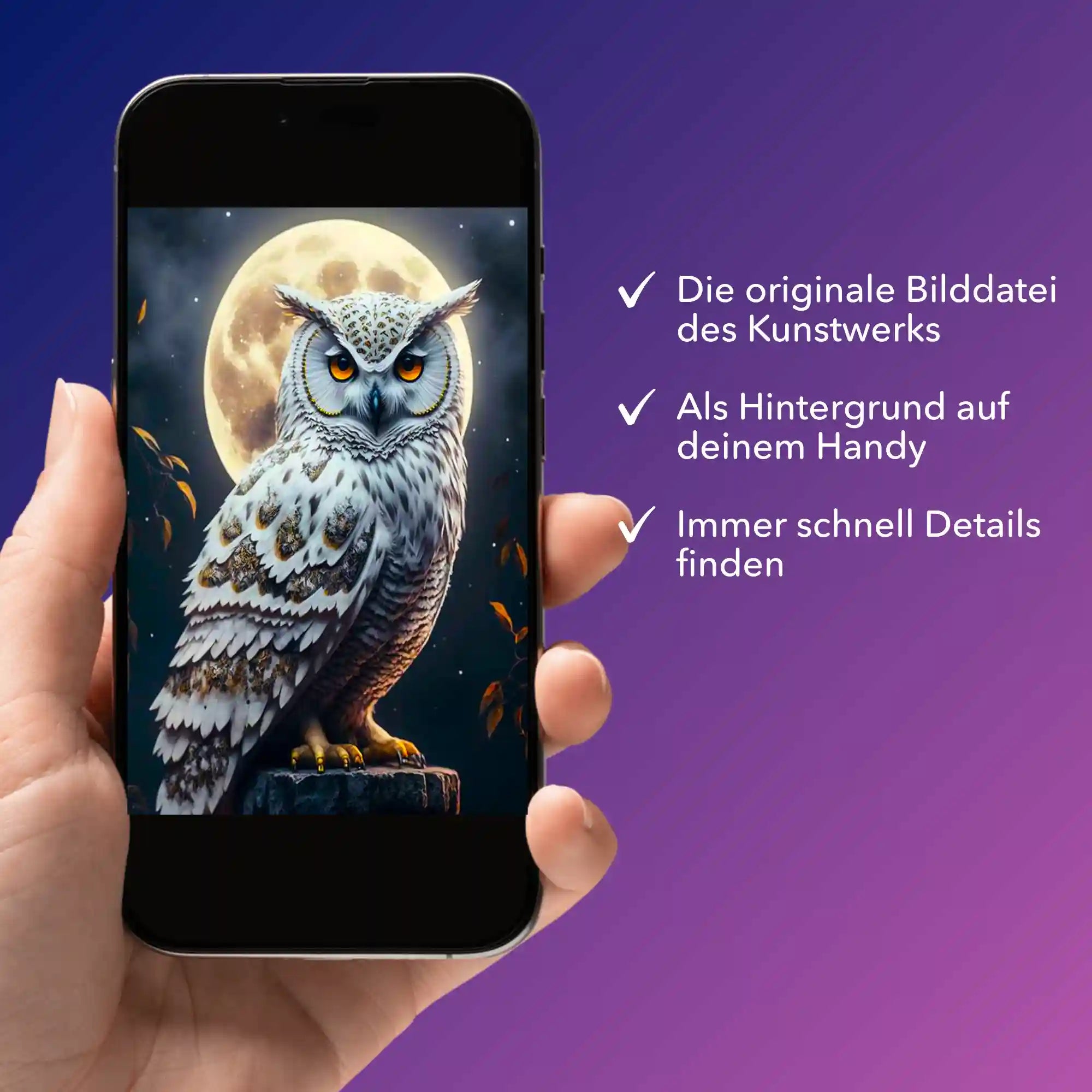 Digitale Bildmappe - Eule im Mondschein