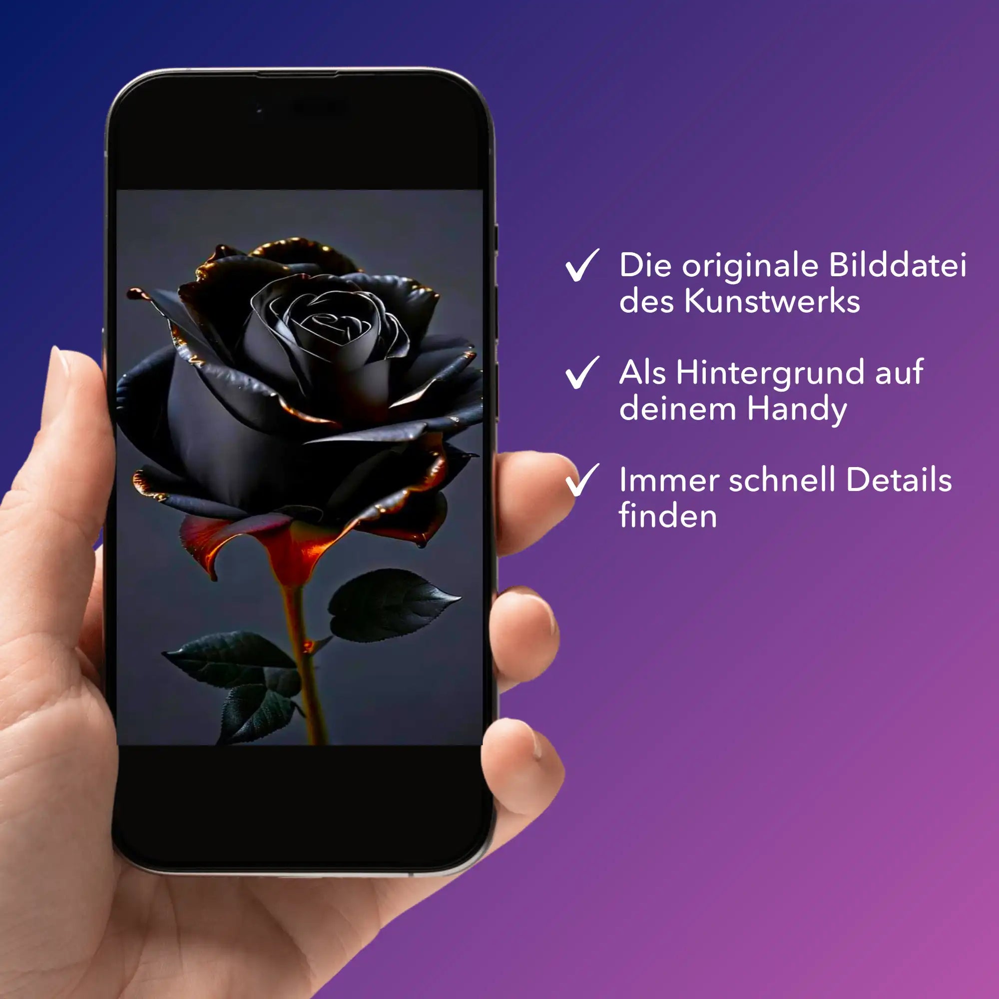 Digitale Bildmappe - Black rose