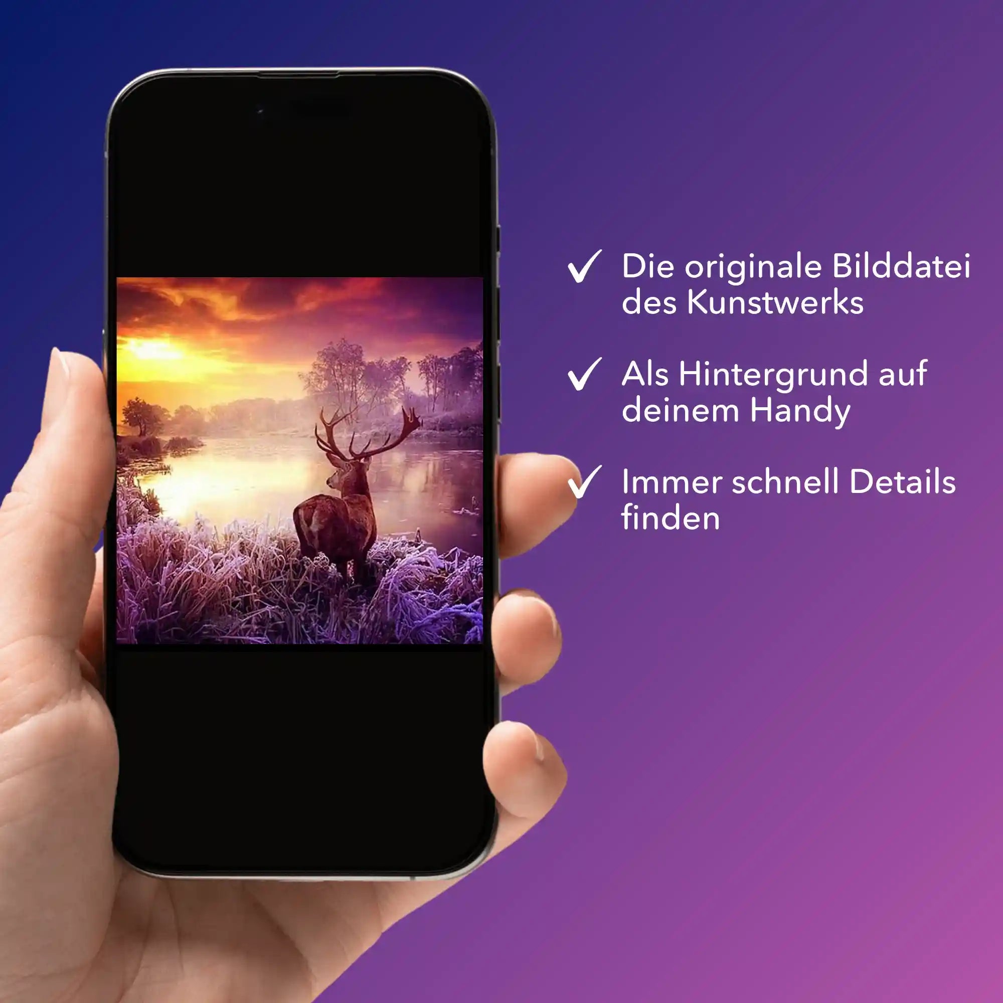 Digitale Bildmappe - Hirsch im Sonnenaufgang