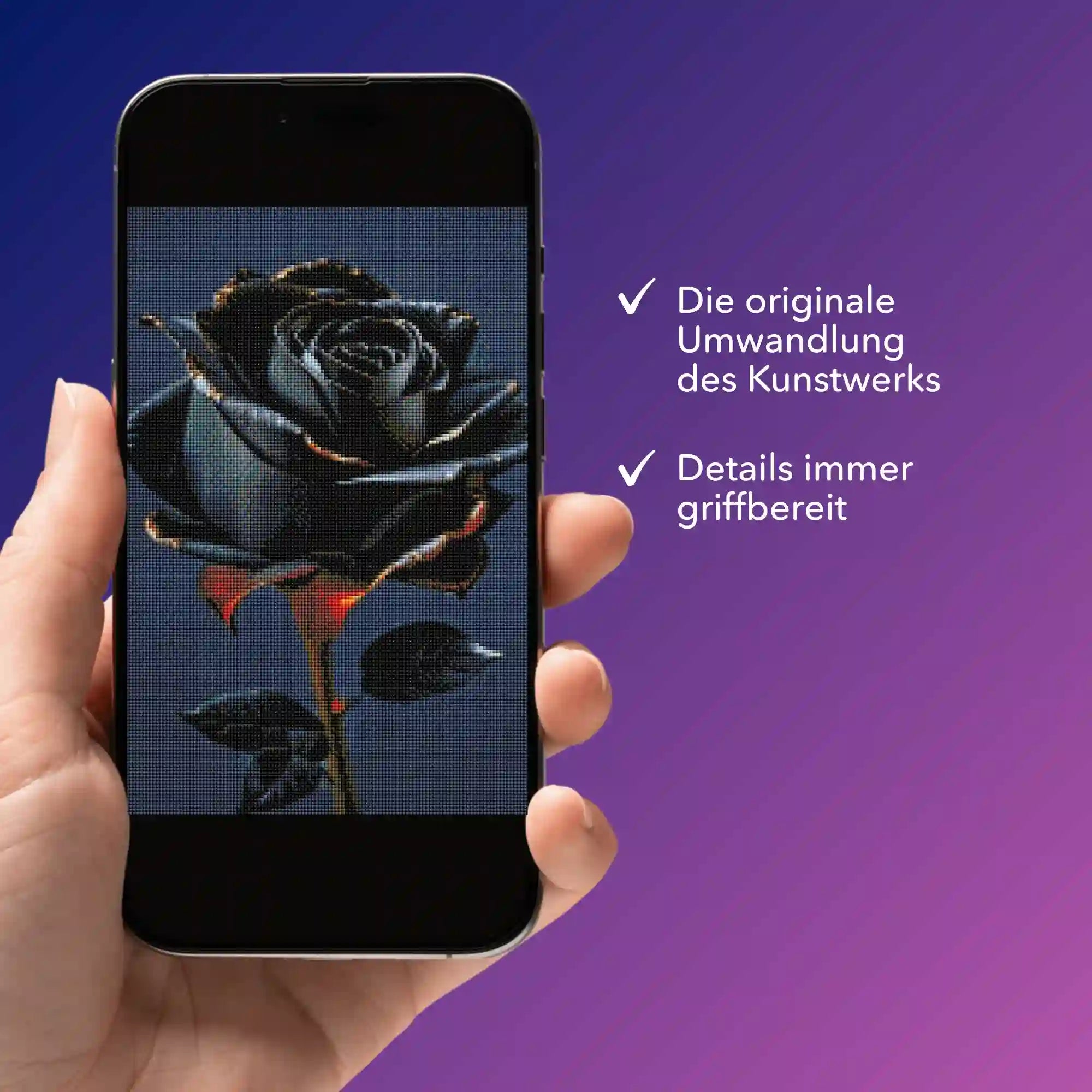 Digitale Bildmappe - Black rose