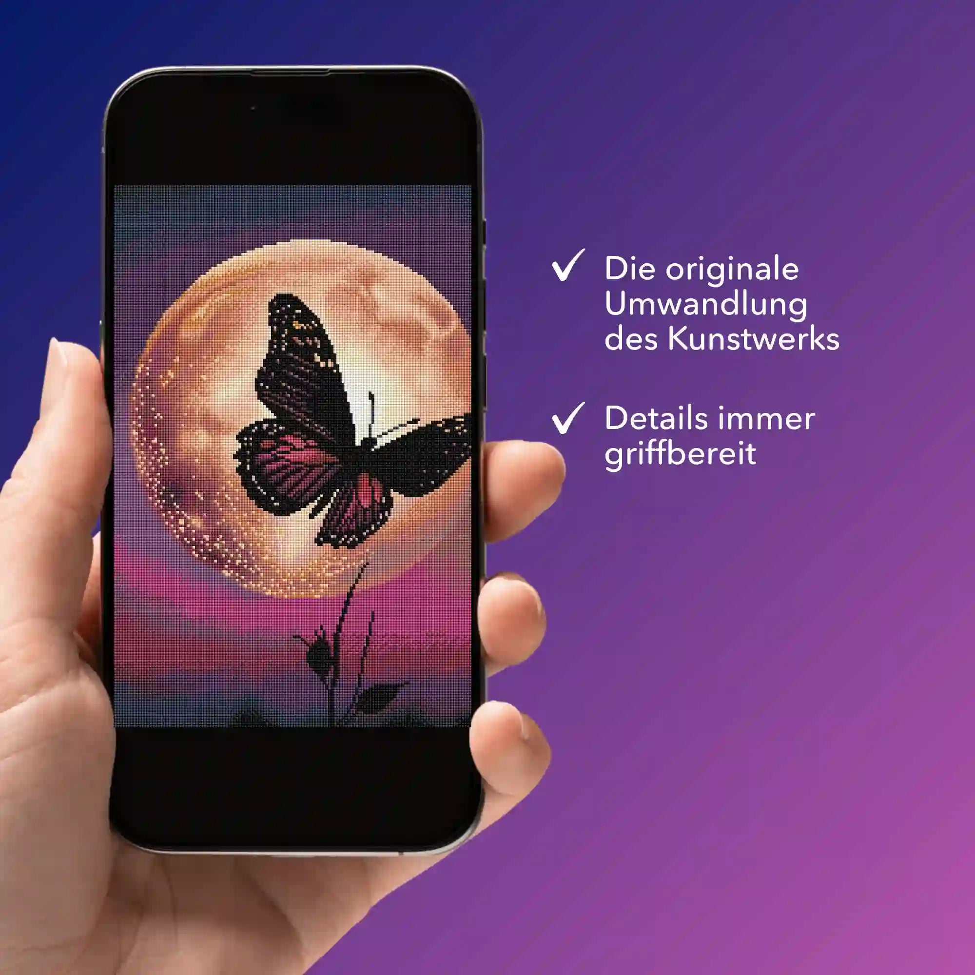 Digitale Bildmappe - Nightfly