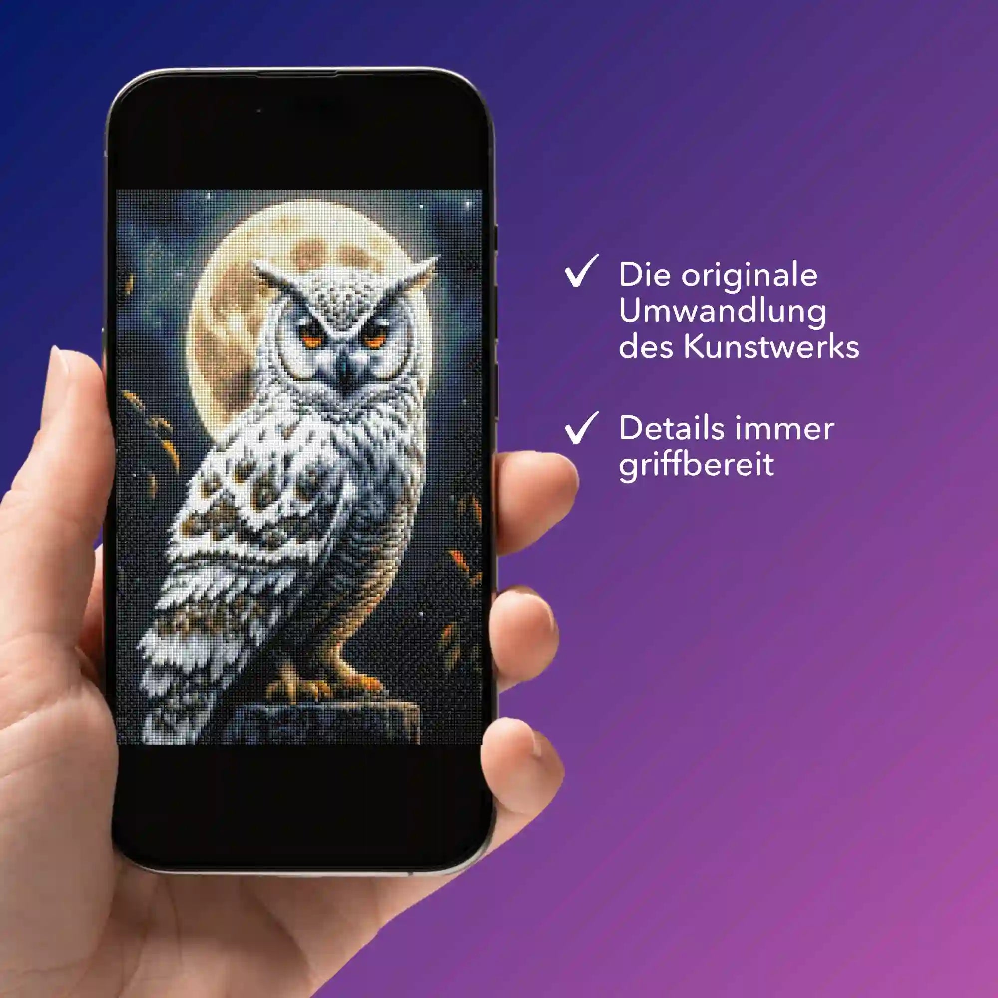 Digitale Bildmappe - Eule im Mondschein