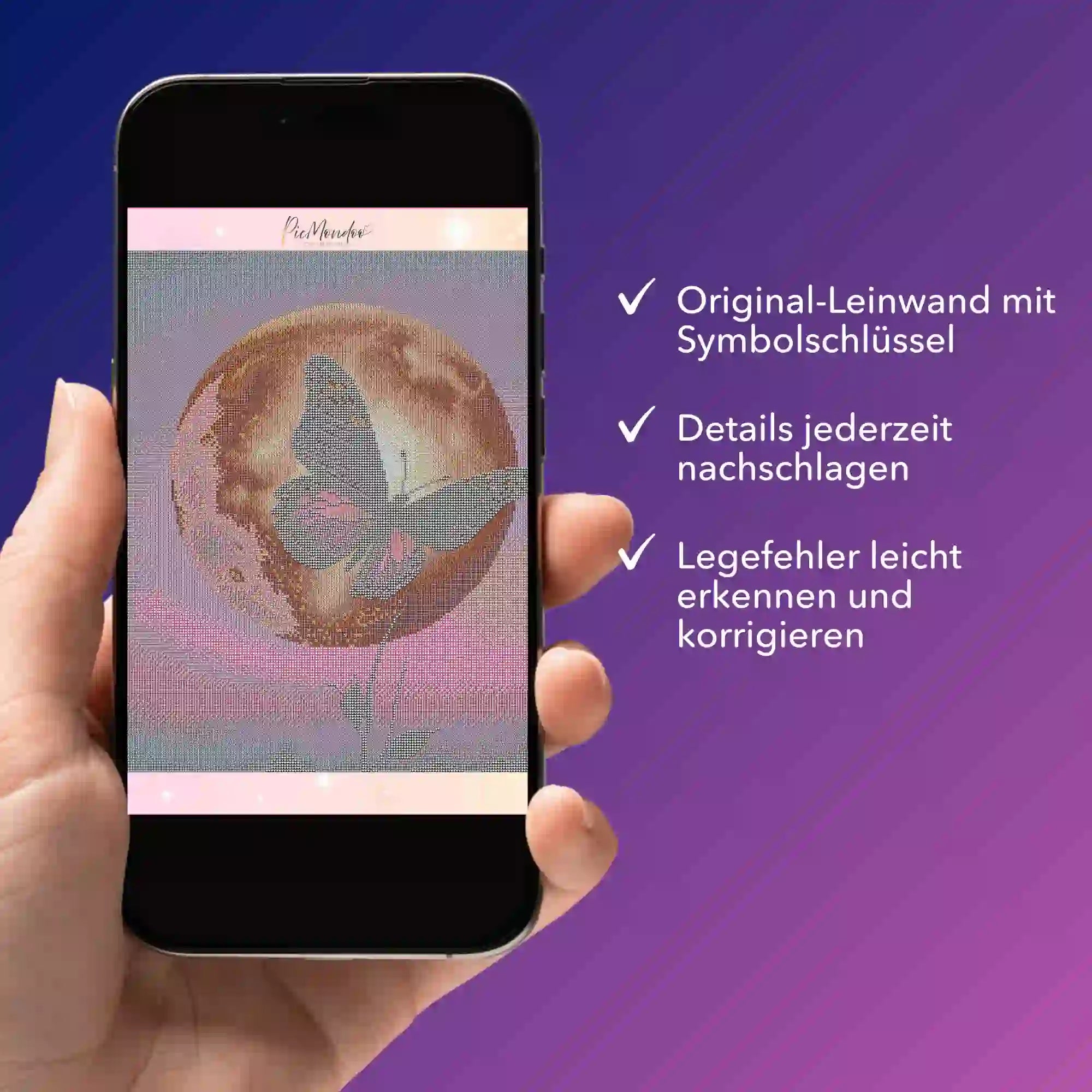 Digitale Bildmappe - Nightfly