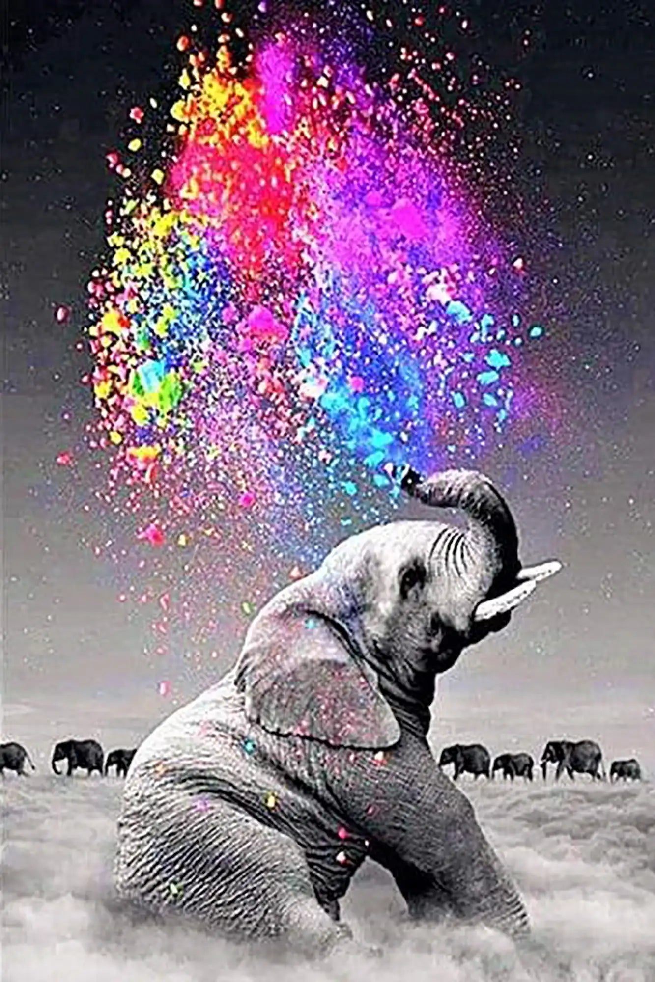 Diamond Painting - Elefant "Farbenspiel"