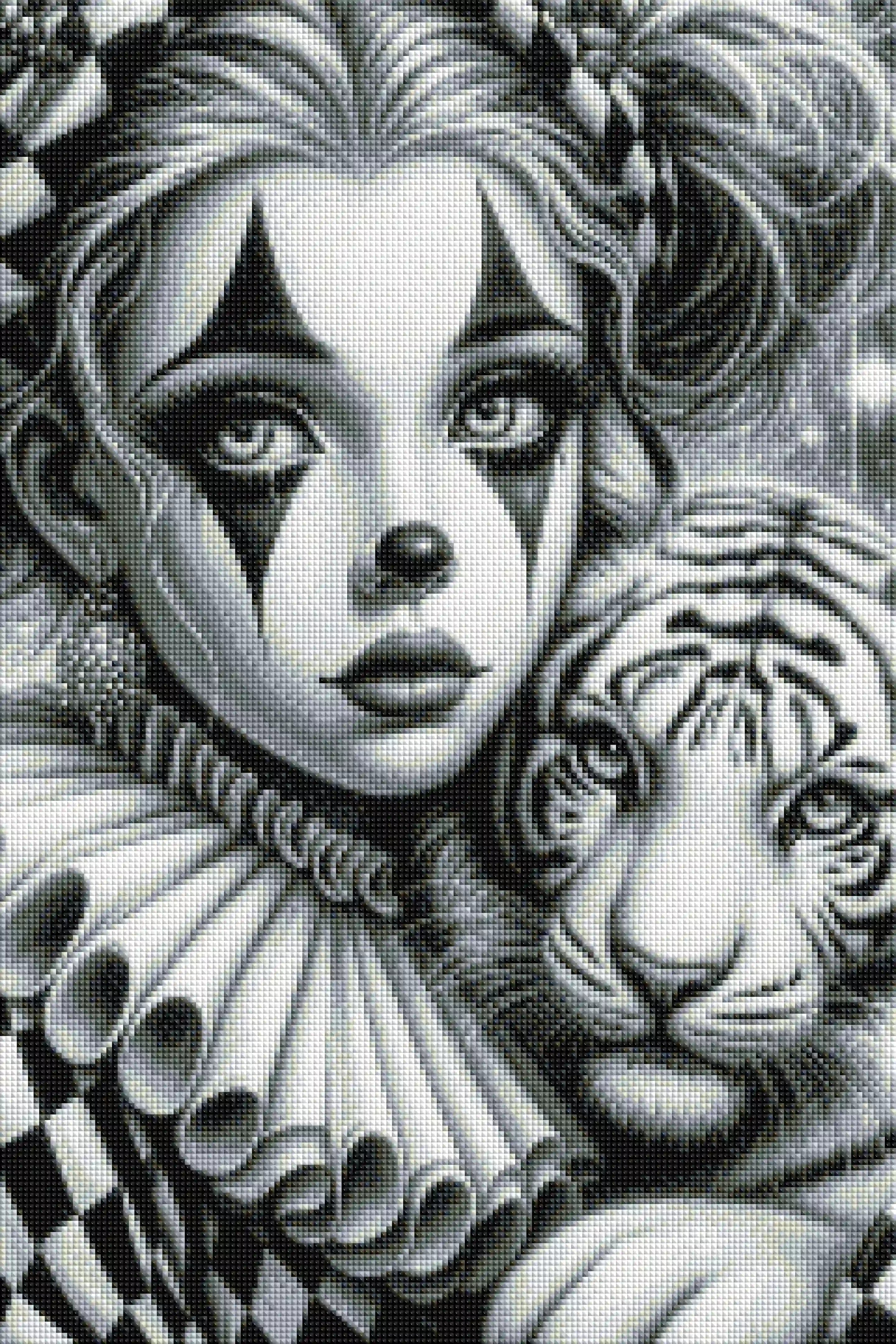 Diamond Painting 7 Tage Special - Maskerade