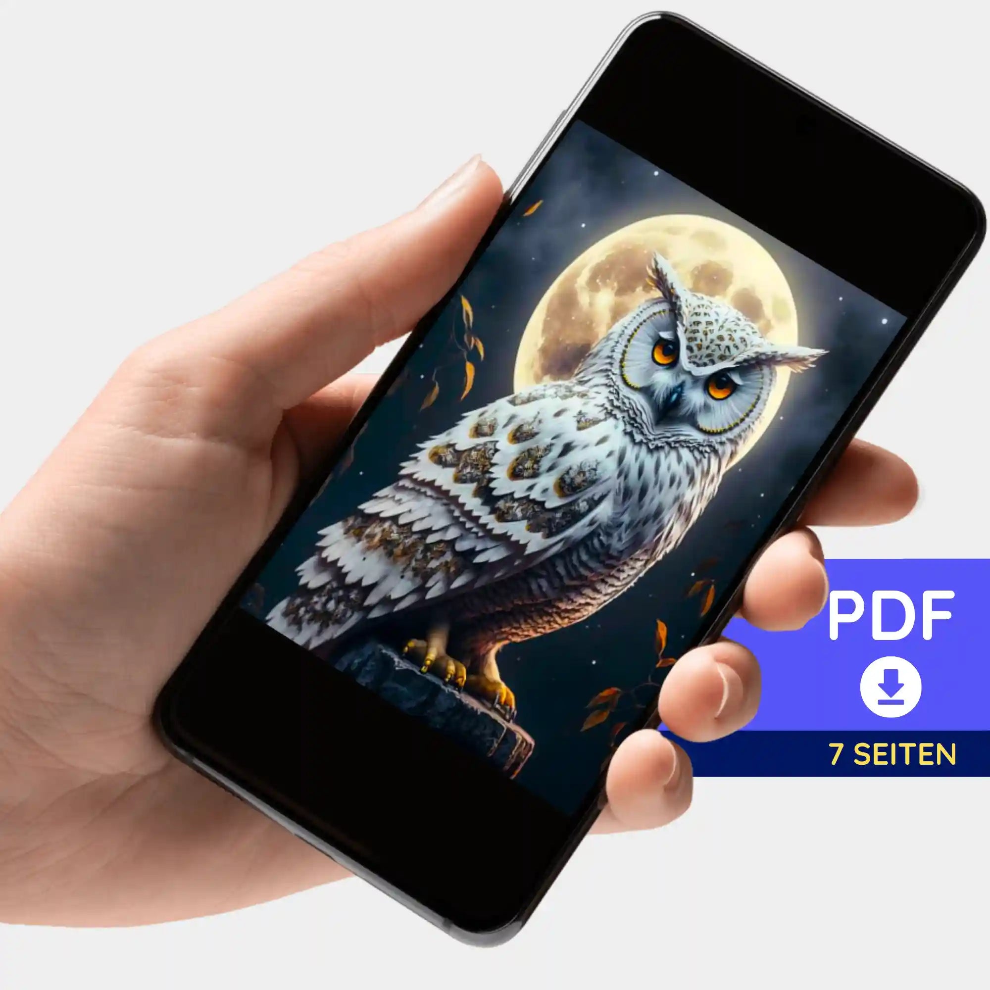 Digitale Bildmappe - Eule im Mondschein
