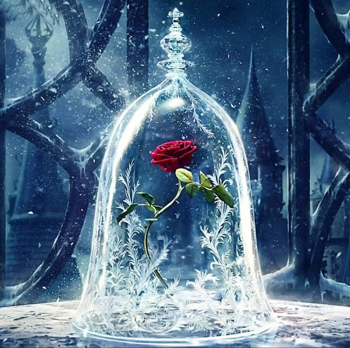 Diamond Painting - Rose im Wunderglas - 30x30cm
