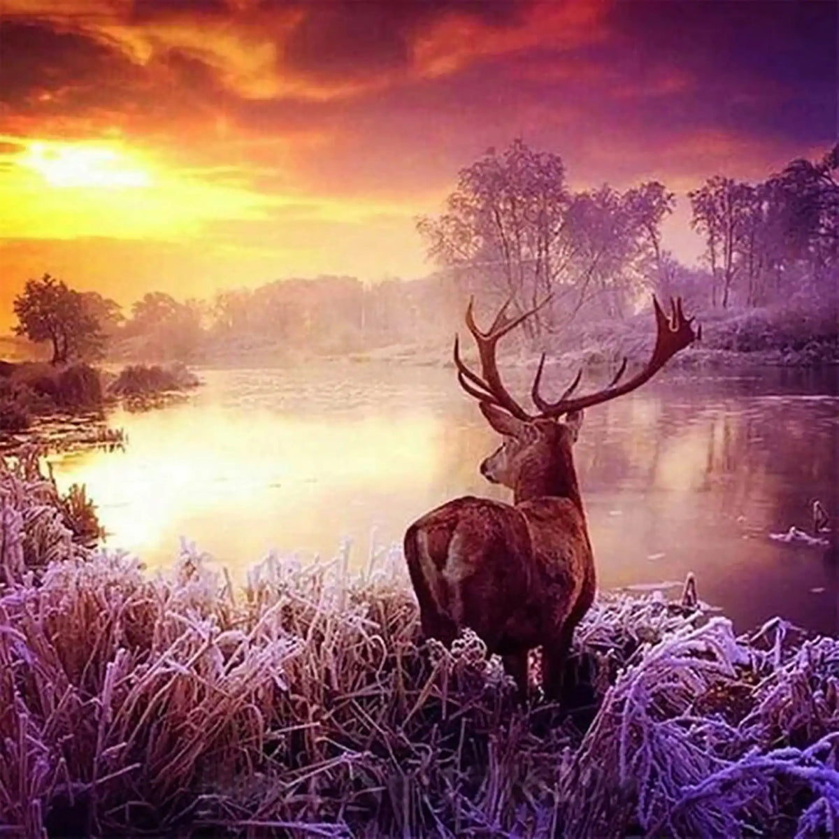 Diamond Painting - Hirsch im Sonnenaufgang - 50x50cm
