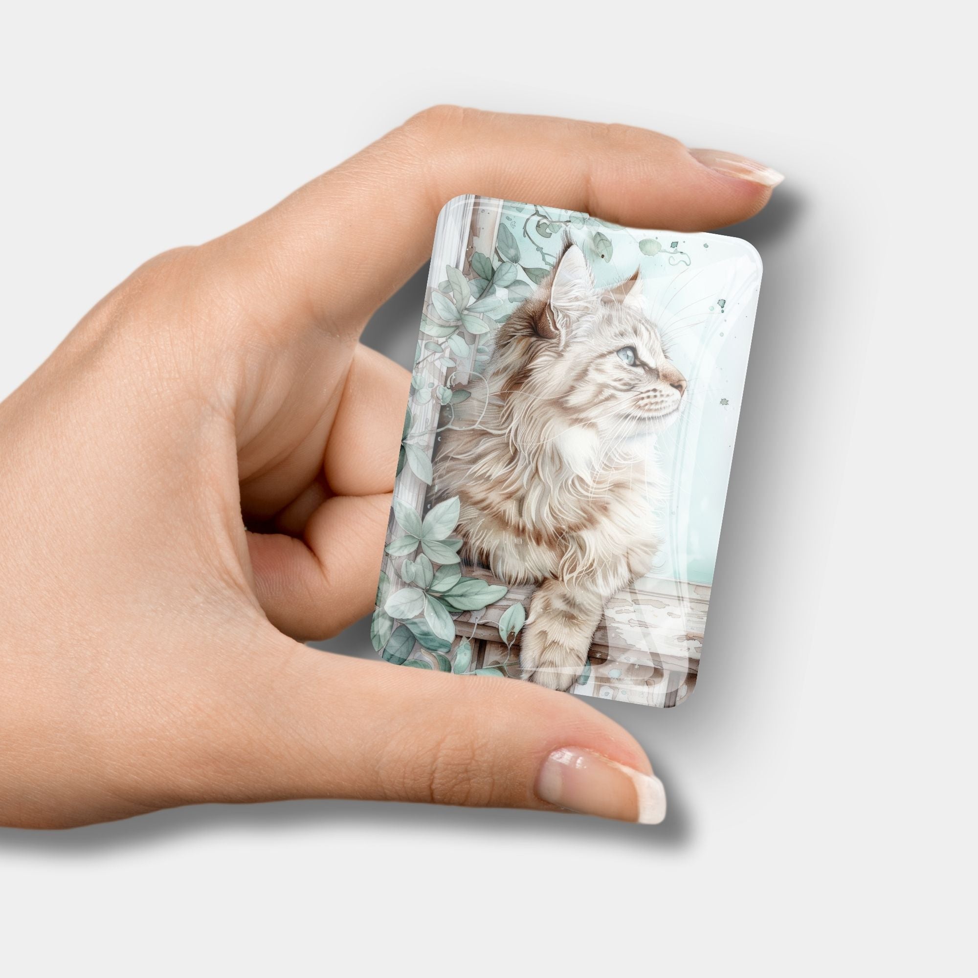 Cover Minder - Kater Cosimo