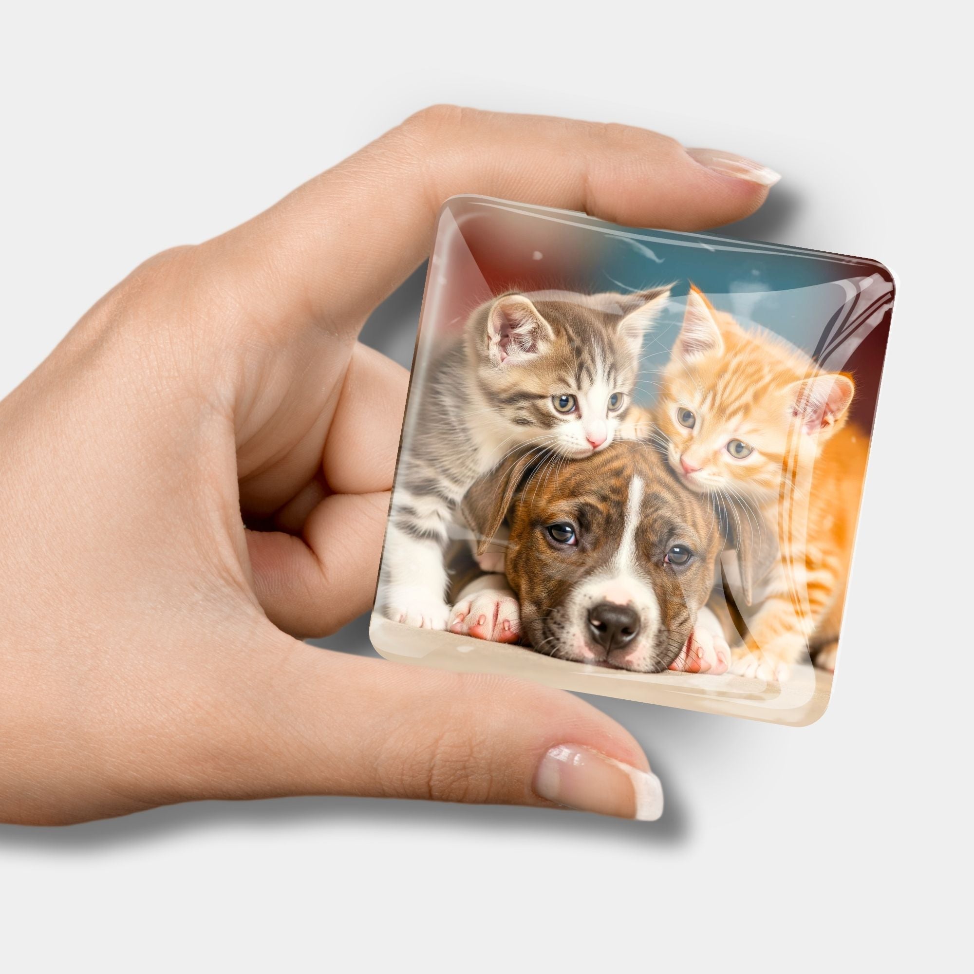 Cover Minder - Friends for Life "Limited Edition"