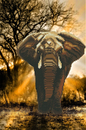 Diamond Painting Strass Special - African Elephant MINI