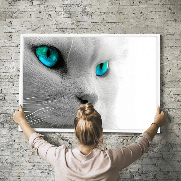 Diamond Painting Wandbild White Cat´s blue Eyes