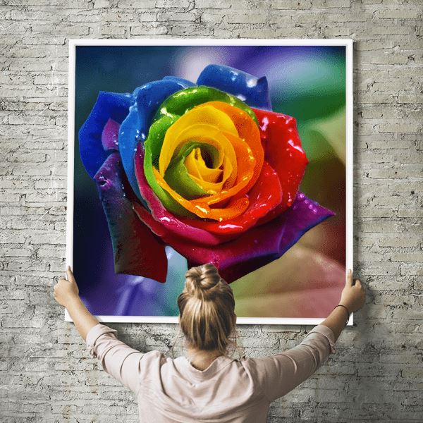 Diamond Painting Strass Special Wandbild XL Regenbogen Rose