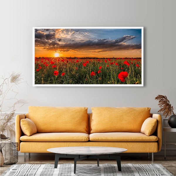 Diamond Painting XXXL Wandbild Mohnblumenwiese