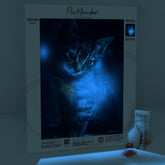 Diamond Painting Leuchtbild Special Leinwand dunkel Cat meets Butterfly