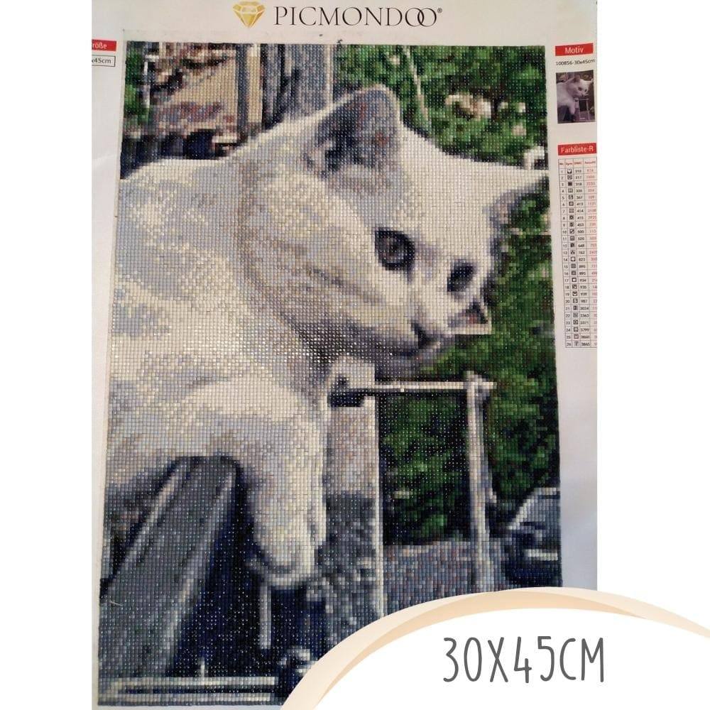 Diamond Painting eigenes Bild mit Katze 30x45cm