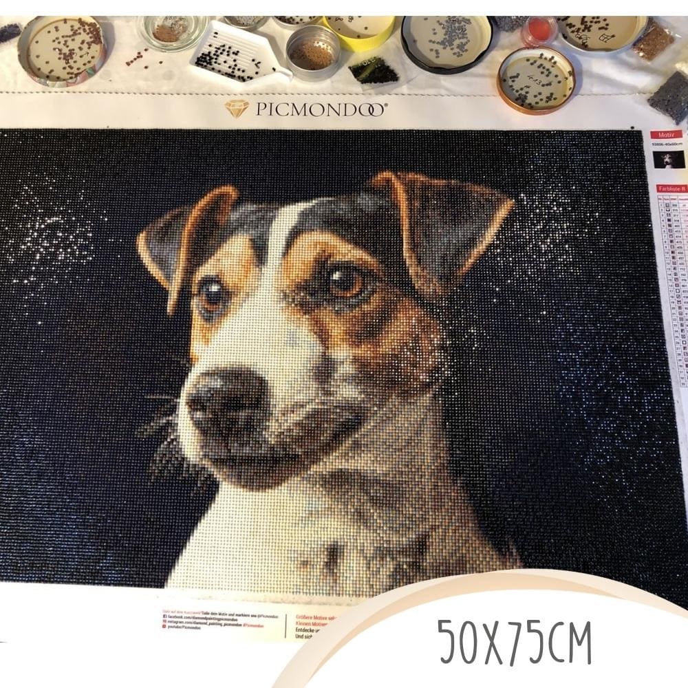 Diamond Painting eigenes Foto 75x50cm Hund