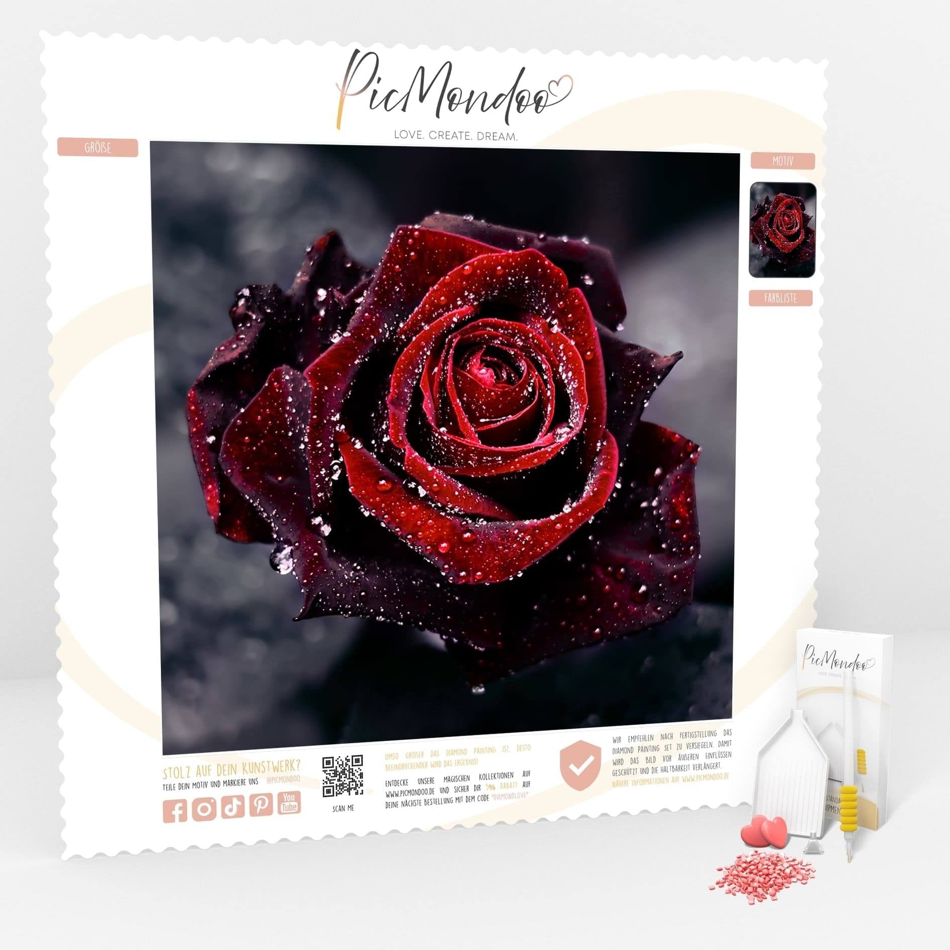 Diamond Painting Leinwand Rote Rose im Morgentau