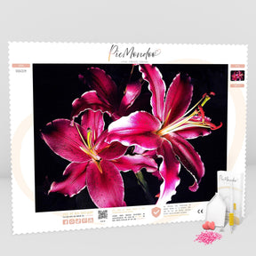 Diamond Painting Strass Special Leinwand XL Pink Flower